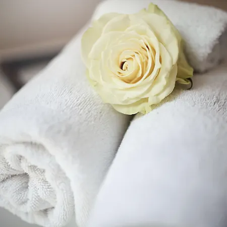 Hentschels 公寓式酒店 莱比锡